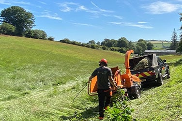 grounds maintenance