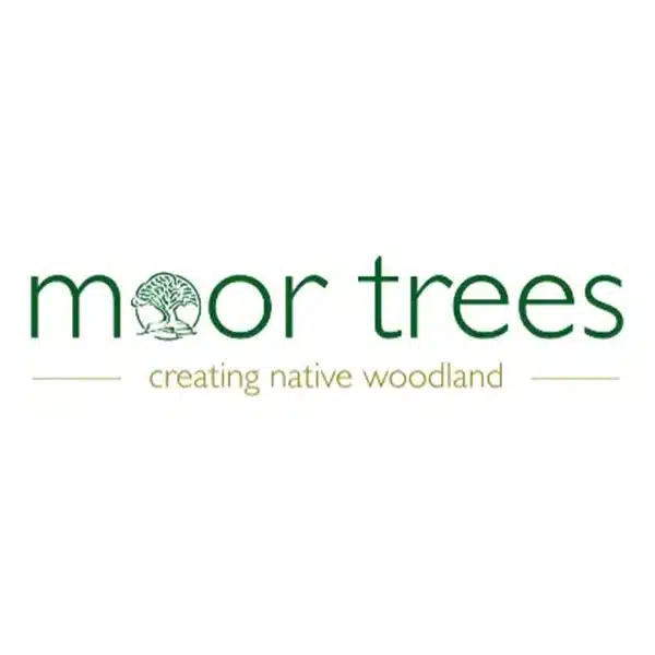 moor trees