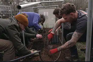 tree planting